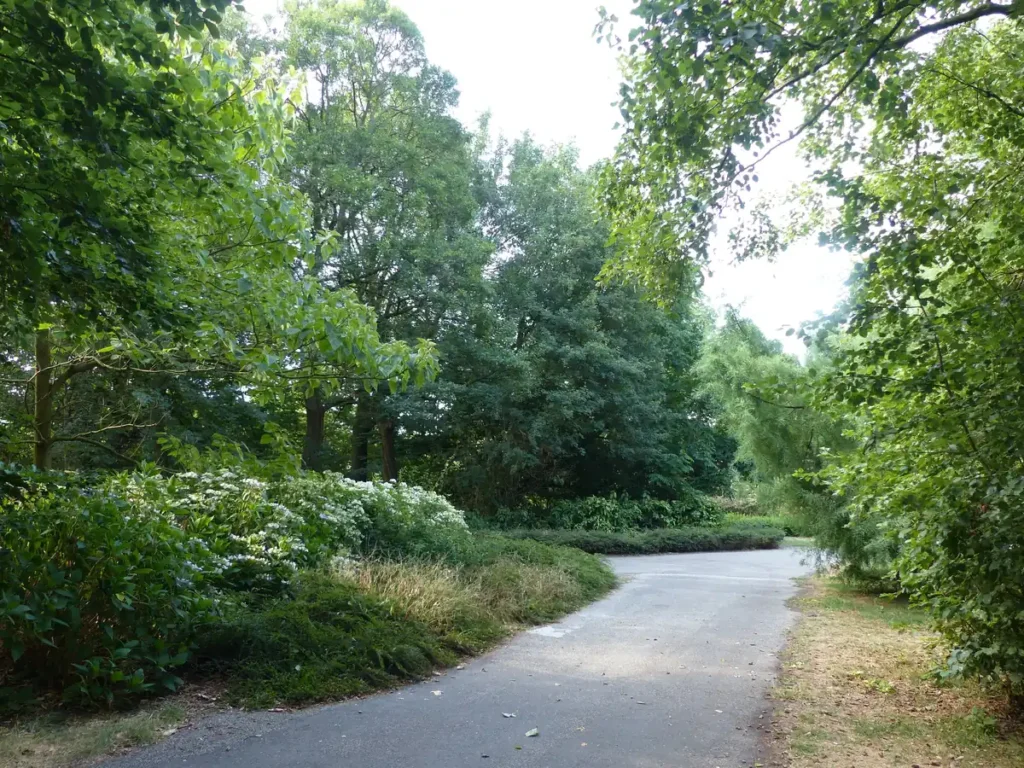 Markten, straten en het Oosterpark